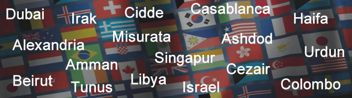 World Logistics Karayolu, Havayolu, Denizyolu, Demiryolu, Parsiyel Taşımacılık Hizmetleri Banner